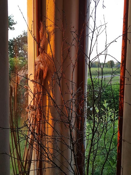 Stimmungsbild goldene Welt